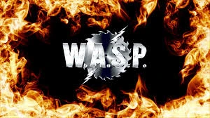 W.A.S.P. NO BRASIL!