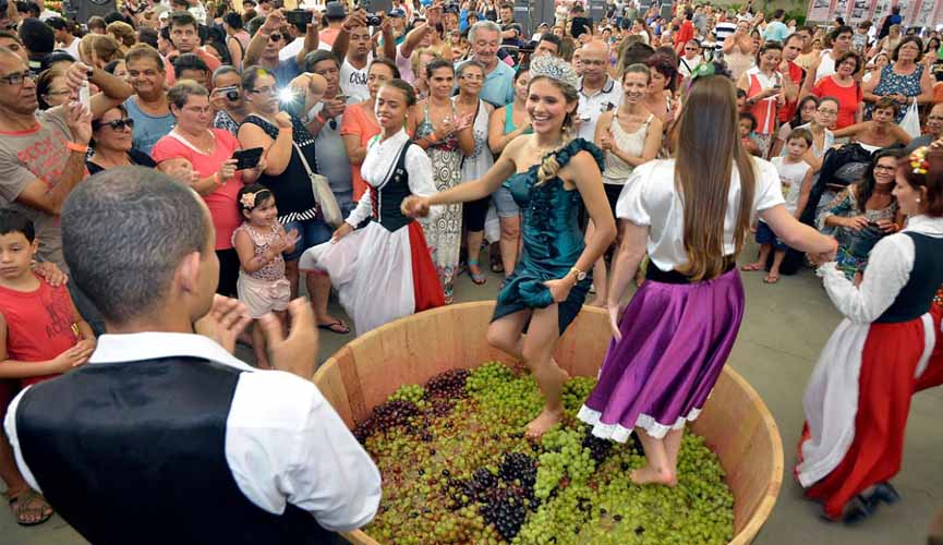 Festa da Uva