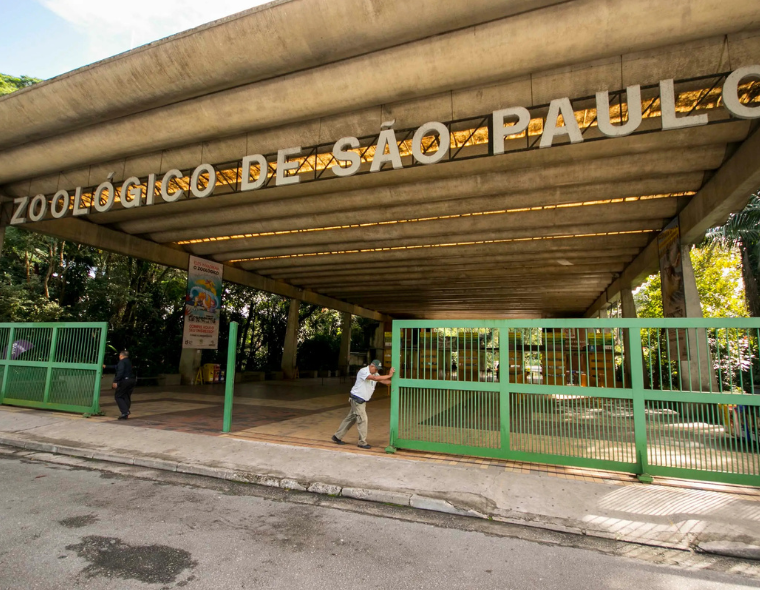 Quem paga meia entrada no zoológico de São Paulo?